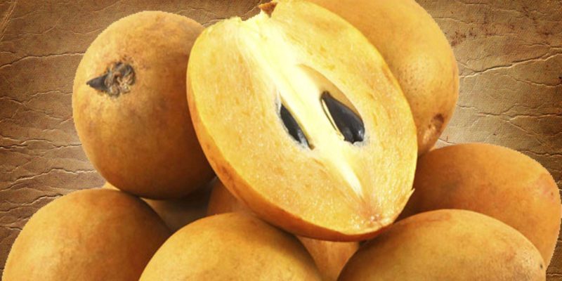 Sapota Health Benefits