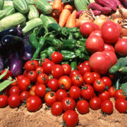 Dhoni Farm