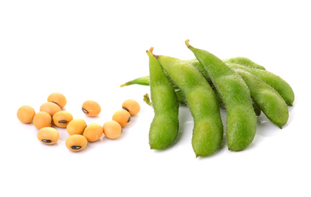 Soya Bean Cultivation
