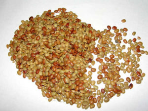 horse gram 