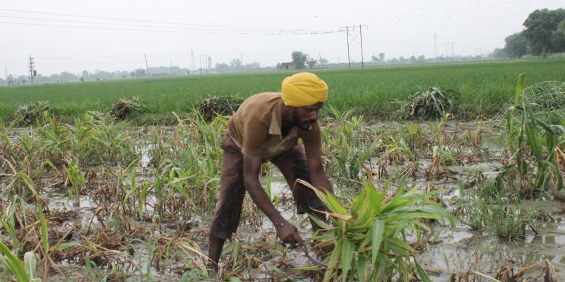 tenant farmers facing problems