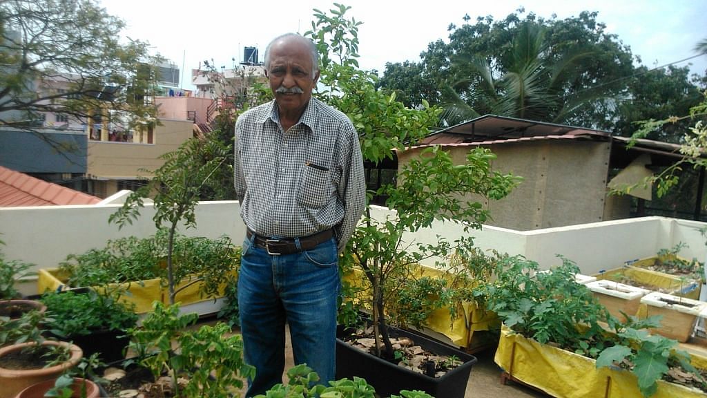 How to Start a Terrace Garden