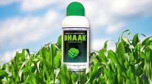 Dhaak