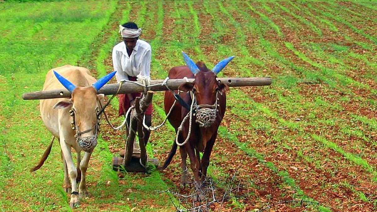 Government Schemes in Agriculture For Farmers