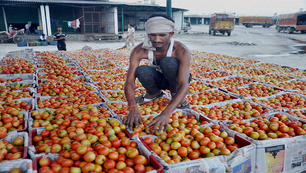 3 kg of tomatoes for 100 rupees