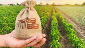 Benefits Of Farmers Godown Subsidy Scheme