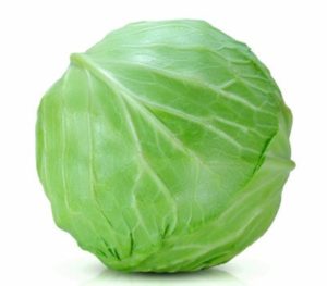 cabbage