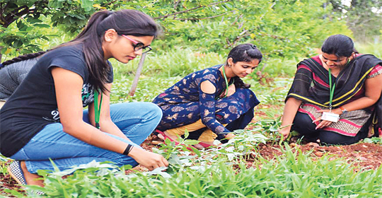 Agricultural Courses in India