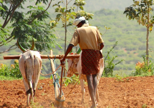 PM Kisan Yojana