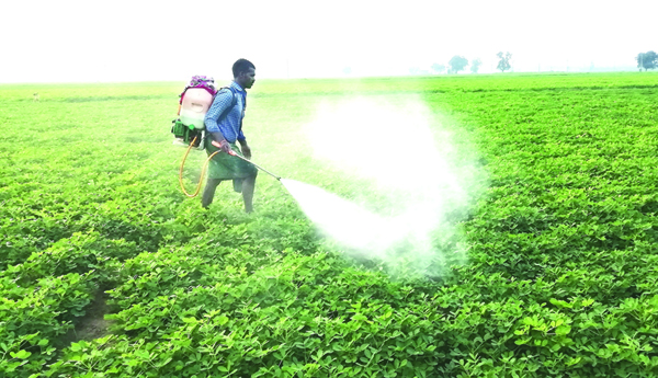 fertilizers abd pesticides