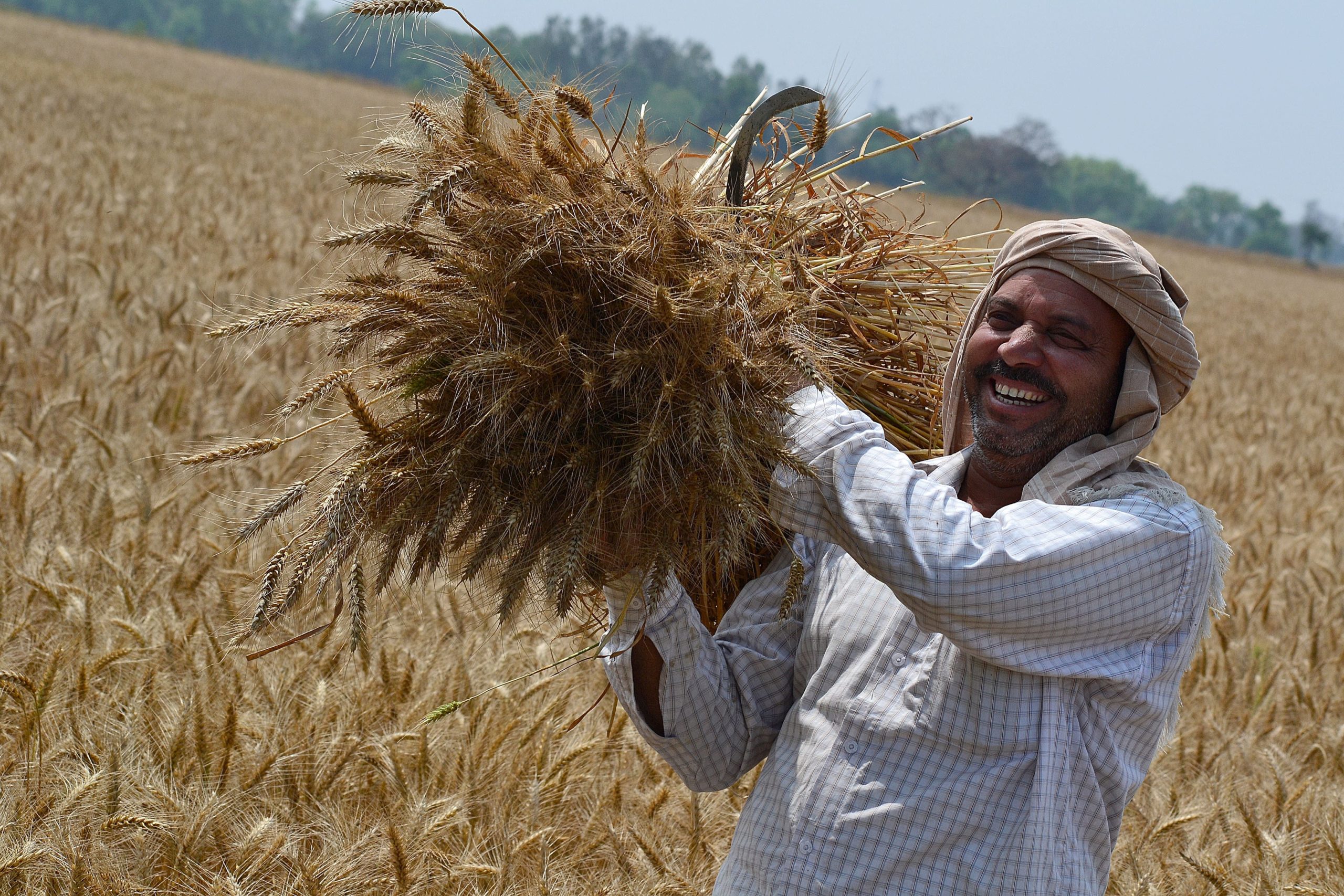 haryana farmers will gets special courts