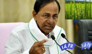 CM KCR Writes Letter to PM Modi Over Paddy Procurement