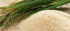 What Is Magic Rice And How To Cook