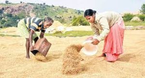 CM KCR Writes Letter to PM Modi Over Paddy Procurement