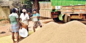 paddy procurement