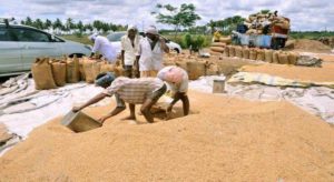 Minister Nirajan Reddy Demanding Centre to Procure Paddy