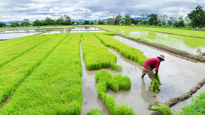 role of agricultural trade for farmers