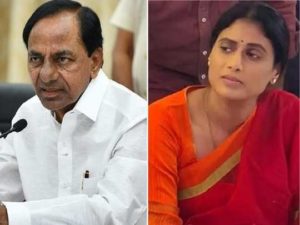 ys sharmila vs kcr