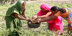 woman farmer