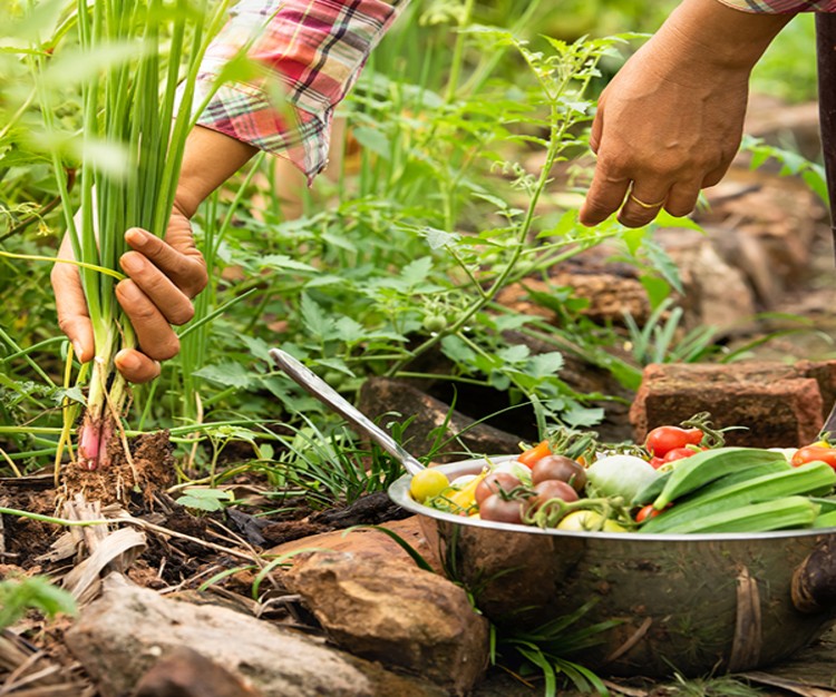 Natural Farming