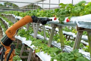 Robots in Agriculture