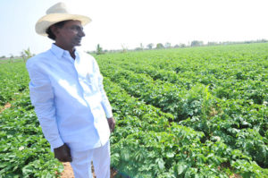 KCR produces paddy