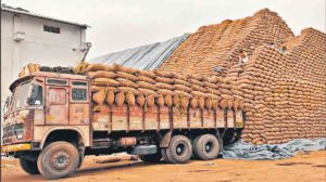 telangana paddy