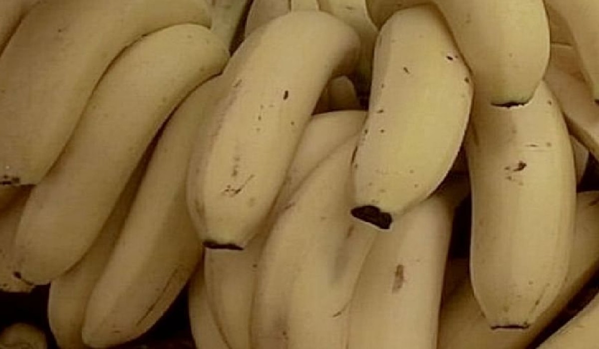 do-you-know-how-much-profit-from-china-banana