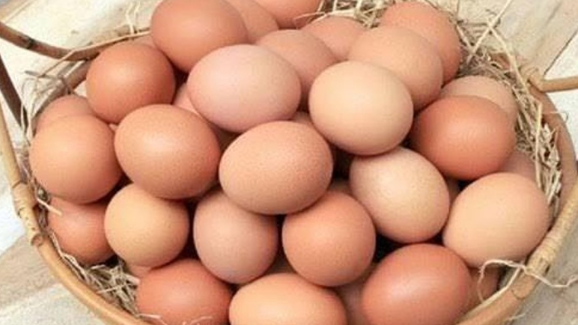 precautions-to-be-take-in-the-production-of-high-profit-desi-eggs