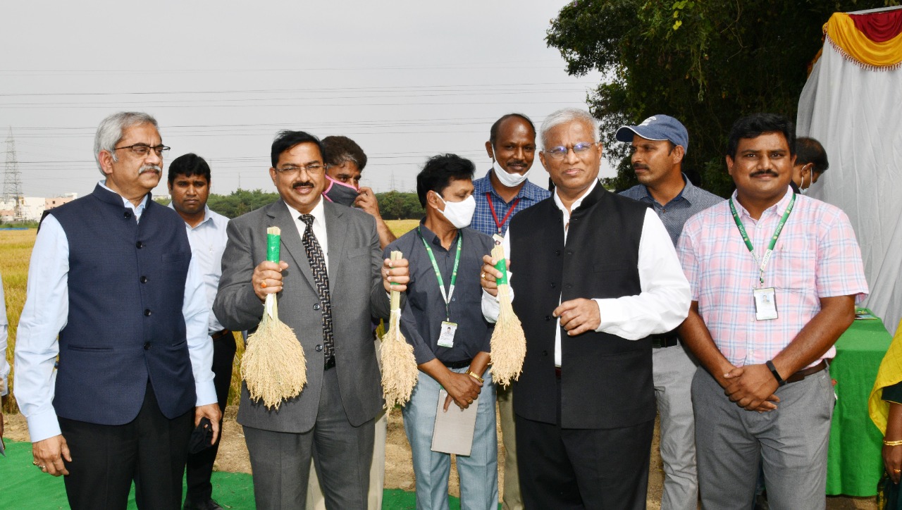 NABARD Chief