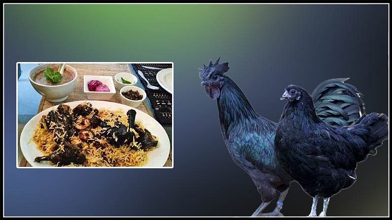 Kadaknath chicken