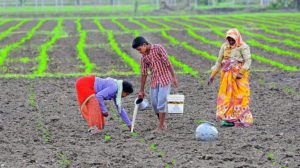 Telangana Tenant Farmers