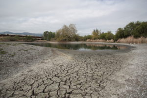 Dry Pond