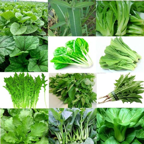 greens leaf