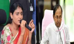 sharmila vs kcr