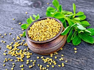 Fenugreek