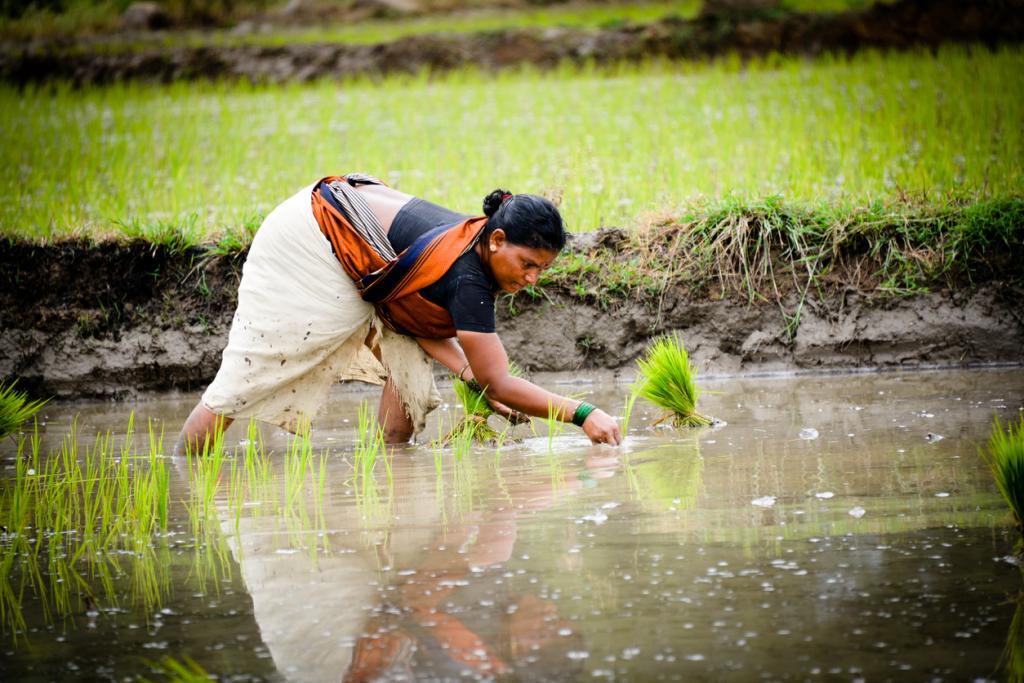 AP SC Women Farmers