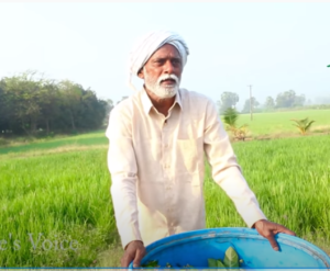 Natural Pesticide