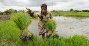 AP SC Women Farmers