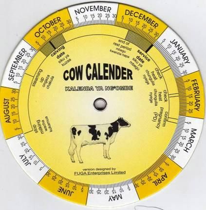 Calendar of cattle management