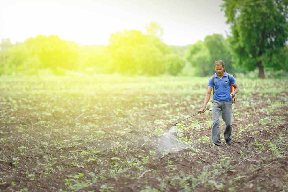 Agriclinic and Agribusiness