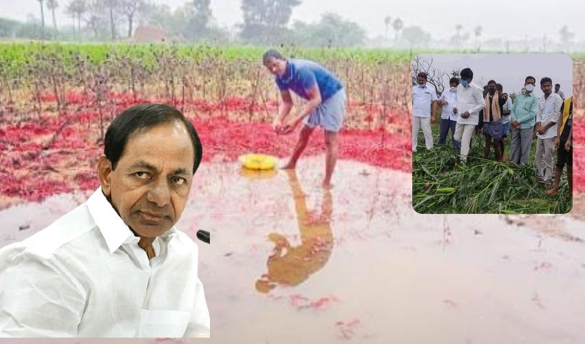 CM KCR Warangal Tour