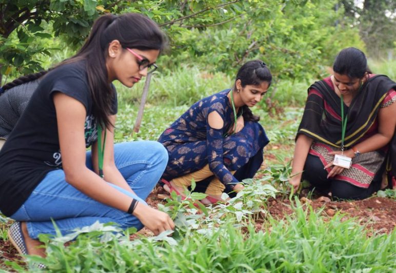 Bank of Baroda recruitment 2022