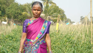 Organic Farmer Dandu Bhulaxmi