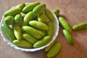 Ivy Gourd Health Benefits