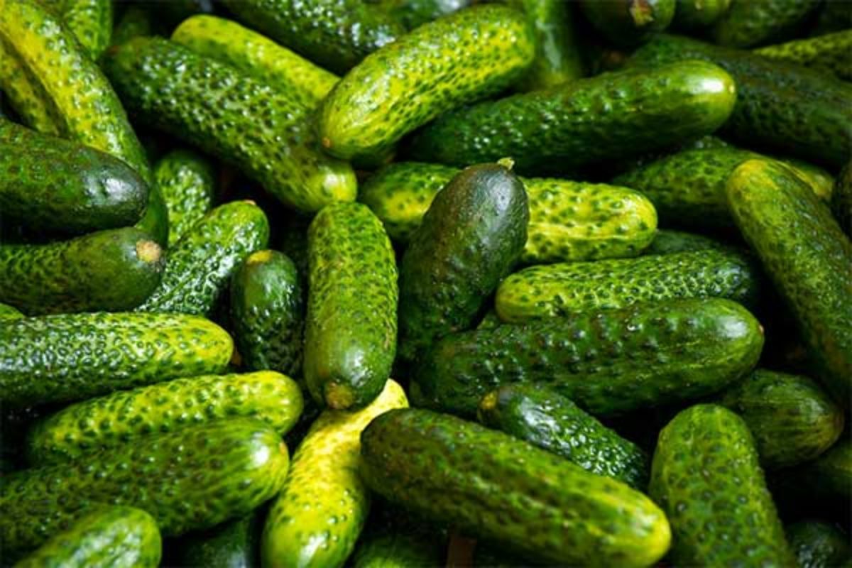 Gherkins