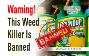 Glyphosate Weed killer is Banned