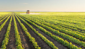 Agricultural Land