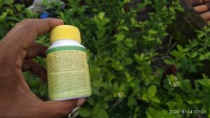 Neem Oil and Crop Protection