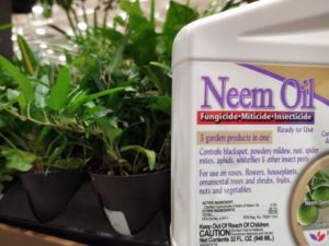 Neem Oil and Crop Protection